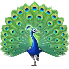 peacock untuk platform Facebook