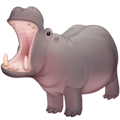 Facebook प्लेटफ़ॉर्म के लिए hippopotamus