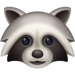 Facebook প্ল্যাটফর্মে জন্য raccoon