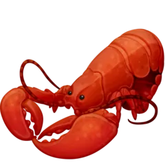 lobster för Facebook-plattform