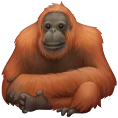 Facebook platformu için orangutan