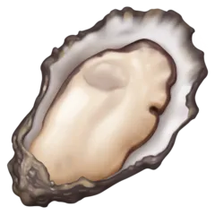 Facebook 平台中的 oyster