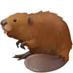 beaver voor Facebook platform
