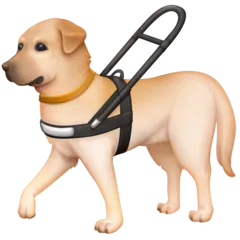 Facebook प्लेटफ़ॉर्म के लिए guide dog