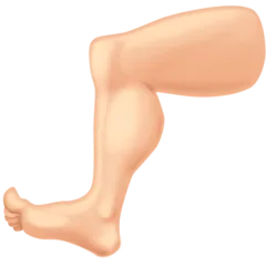 Facebook 플랫폼을 위한 leg: light skin tone