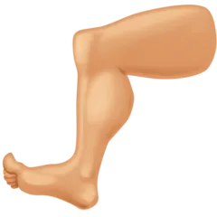 leg: medium-light skin tone untuk platform Facebook