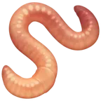 worm สำหรับแพลตฟอร์ม Facebook