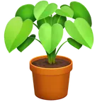 Facebook 平台中的 potted plant