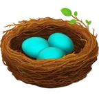 nest with eggs for Facebook-plattformen
