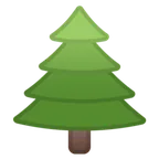 evergreen tree עבור פלטפורמת Google
