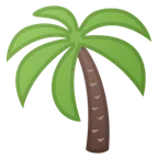 Google platformu için palm tree