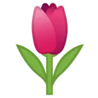 tulip untuk platform Google