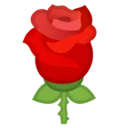rose voor Google platform