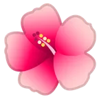 hibiscus for Google platform