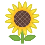 Google 平台中的 sunflower