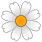blossom עבור פלטפורמת Google