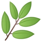 herb עבור פלטפורמת Google
