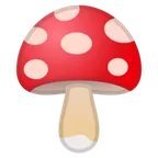 mushroom untuk platform Google