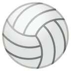 Google 平台中的 volleyball