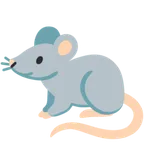 rat voor Google platform