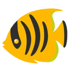 tropical fish voor Google platform