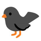 Google platformon a(z) black bird képe