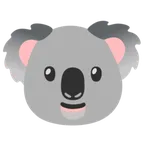 Google 平台中的 koala