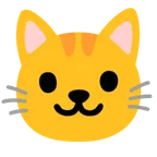 cat face עבור פלטפורמת Google