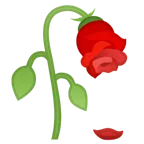 wilted flower per la piattaforma Google