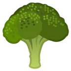 broccoli alustalla Google