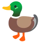Google প্ল্যাটফর্মে জন্য duck