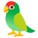 Google 平台中的 parrot