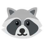 Google platformu için raccoon