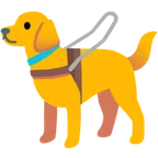 Google प्लेटफ़ॉर्म के लिए guide dog