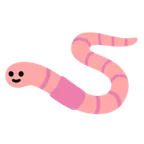 worm für Google Plattform