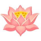 lotus untuk platform Google