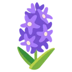 Google 平台中的 hyacinth