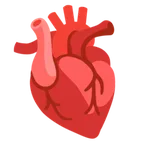 Google 平台中的 anatomical heart