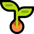 Microsoft dla platformy seedling