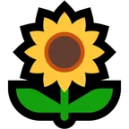 sunflower alustalla Microsoft