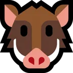 Microsoft প্ল্যাটফর্মে জন্য boar