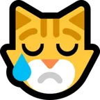 crying cat för Microsoft-plattform