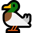 duck لمنصة Microsoft