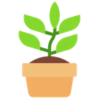 potted plant untuk platform Microsoft