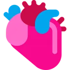 anatomical heart alustalla Microsoft