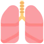 Microsoft প্ল্যাটফর্মে জন্য lungs