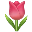 tulip สำหรับแพลตฟอร์ม Samsung