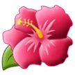 hibiscus for Samsung platform