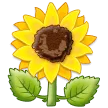 sunflower untuk platform Samsung