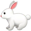 Samsung 平台中的 rabbit